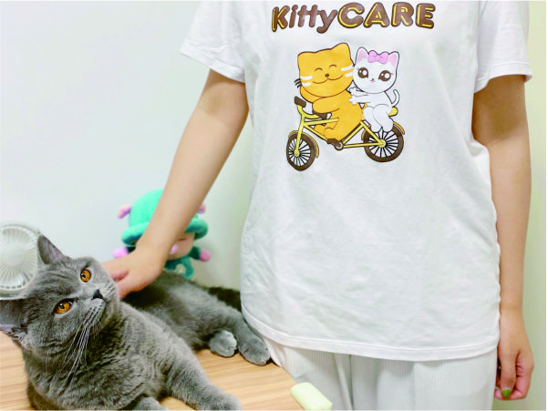 kittycare cat litter