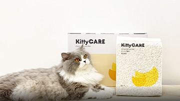 KittyCARE mixed cat litter